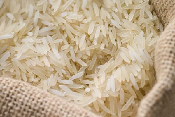 Long grain rice for bulk and food service